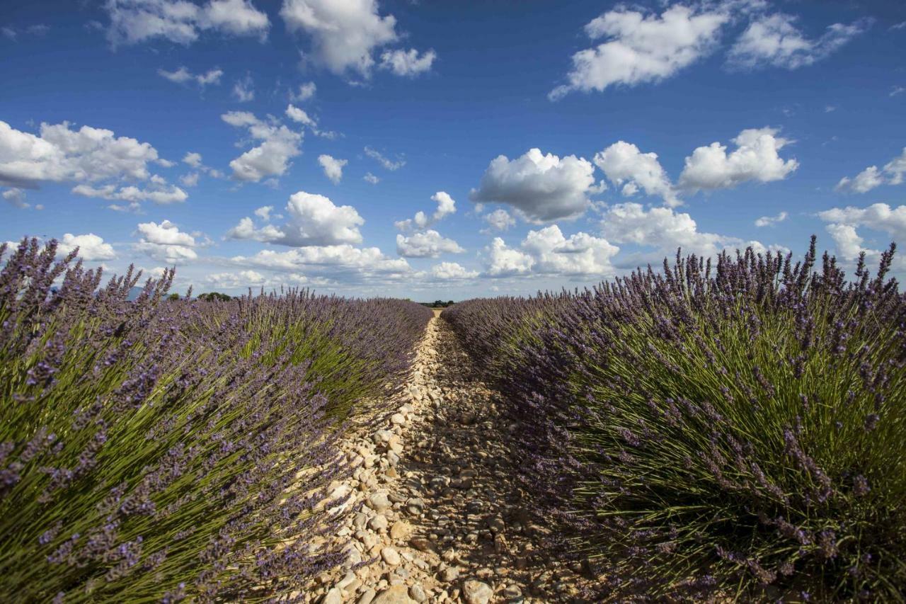 Maison Luberon アプト エクステリア 写真